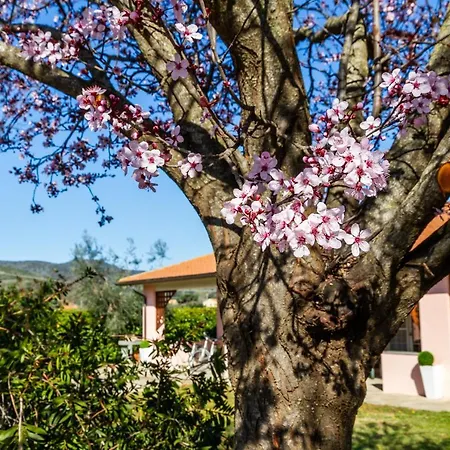 Casa Attila Holiday home